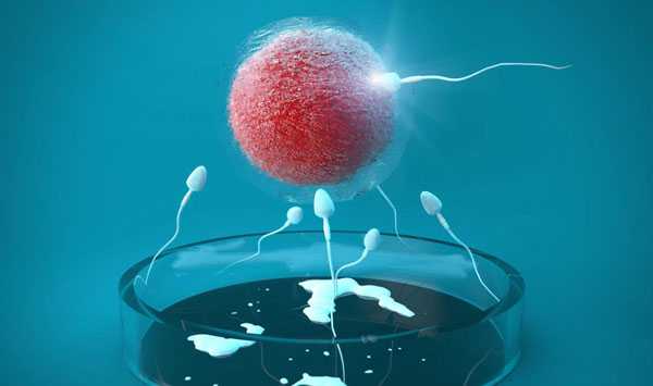 免疫因素胎停如何治疗？胎停育治疗分为两种情况