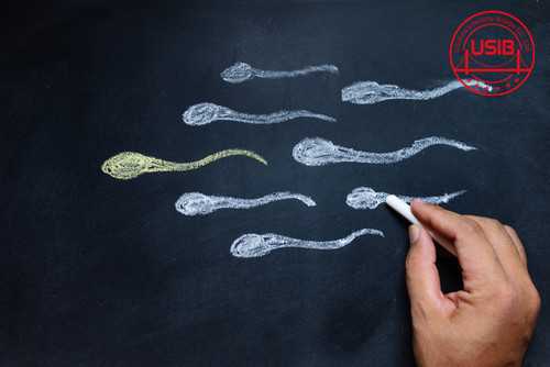 试管婴儿胚胎到囊胚 我们该如何抉择?